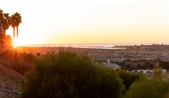 LMU view from the bluff