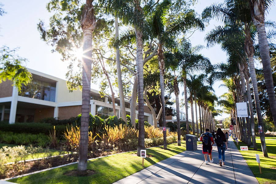 Students walk amongst palm trees on LMU's campus.