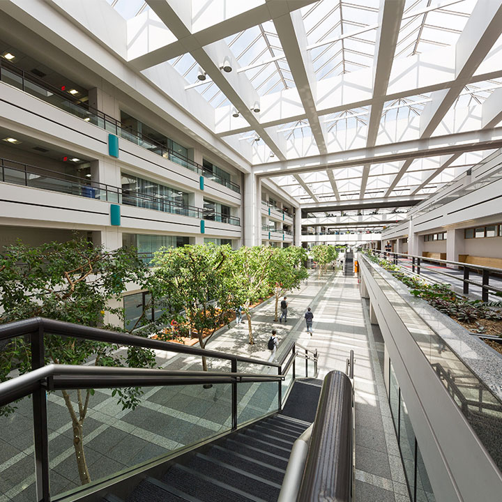 An interior picture of University Hall with skylights and stairs and trees visible.