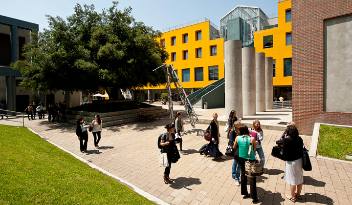students at the Loyola Law School campus